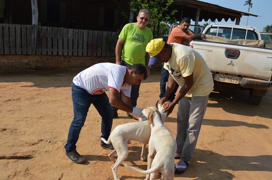 Rio Crespo: Vacina antirabica é realizada no município
