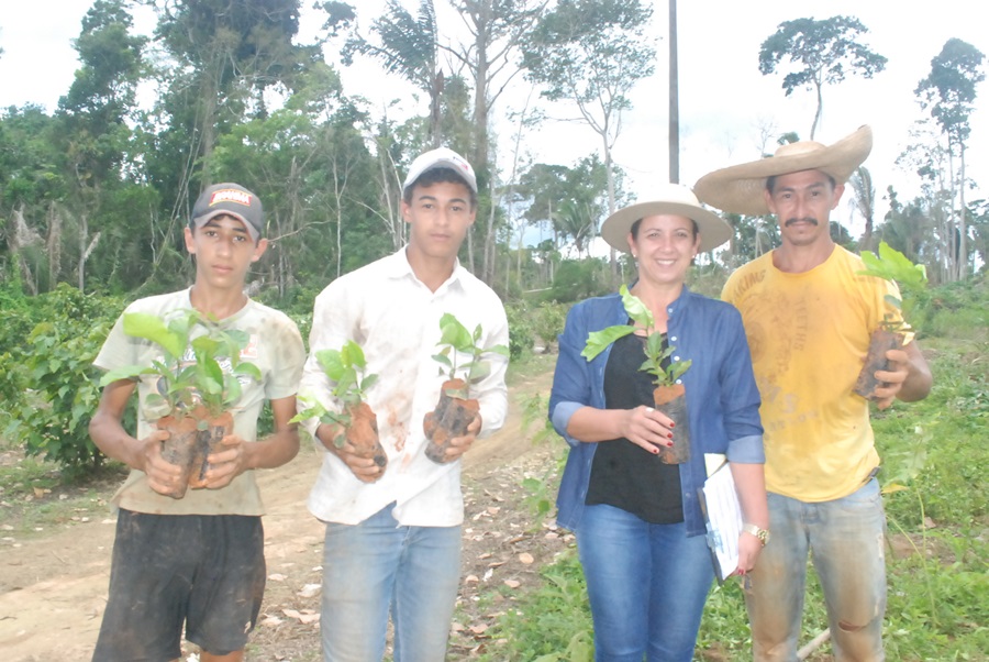 Rio Crespo: Secretaria de Agricultura em parceria com governo do estado distribui mudas de café clonal para agricultores.