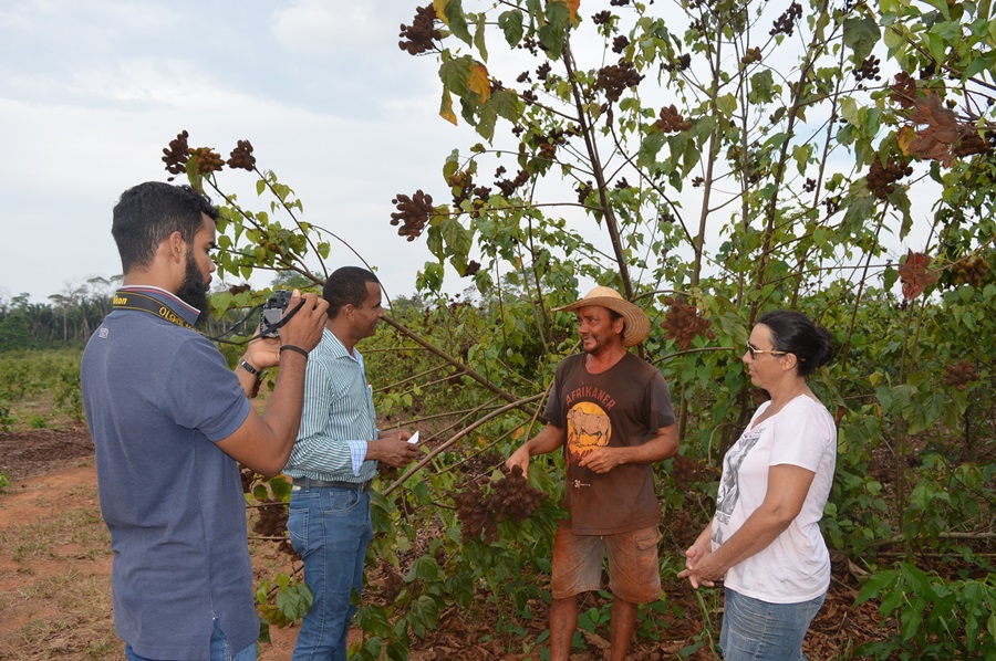 Rio Crespo: Equipe de Jornalismo entrevista produtores de abacaxi e urucum