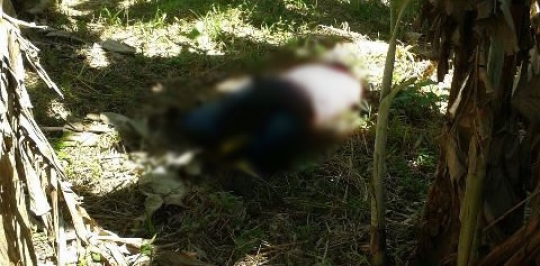 Jovem de 20 anos é brutalmente assassinado no distrito de Tarilândia, em Jaru