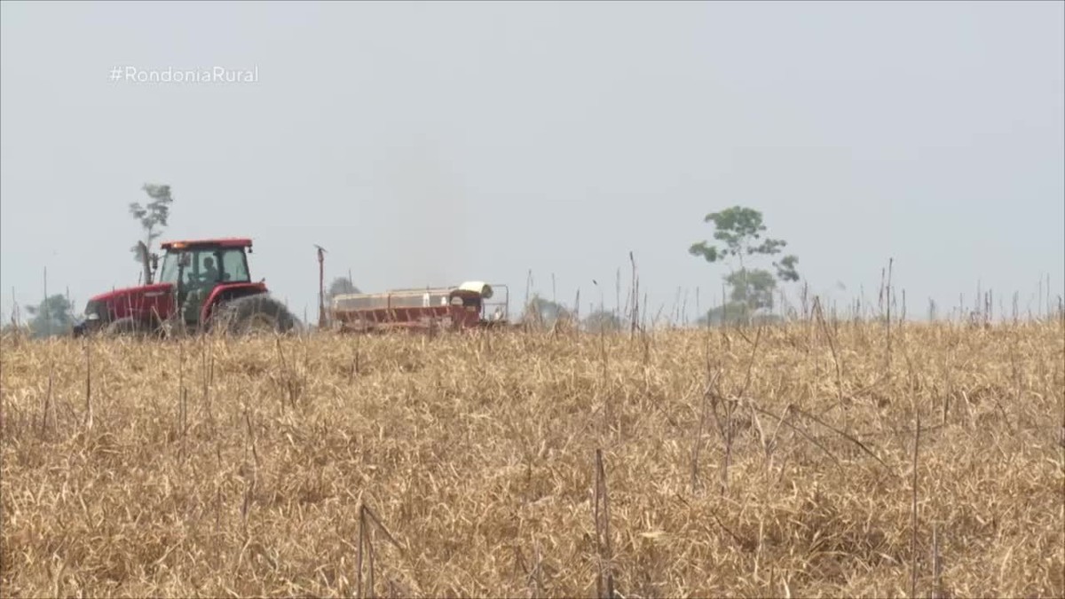 Plantio de soja em Rondônia apresenta atraso por falta de chuva