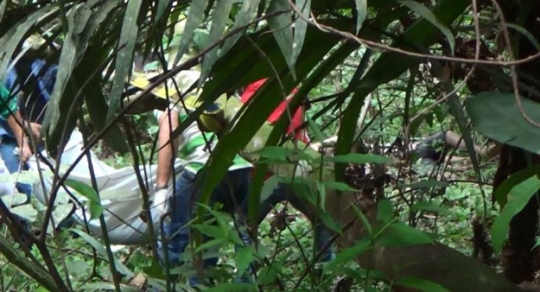 Quatro corpos em avançado estado de decomposição são encontrados em Apuí (AM)