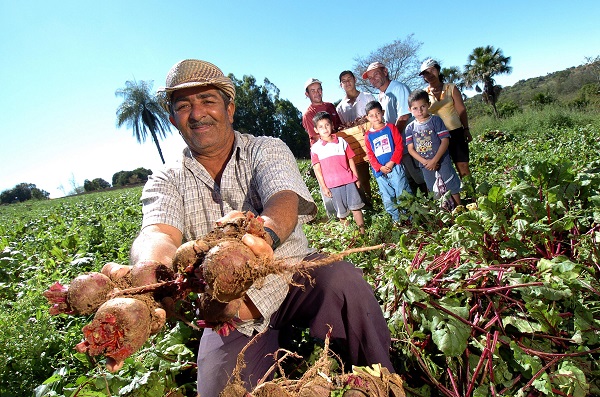 Agricultura familiar do Brasil é 8ª maior produtora de alimentos do mundo!