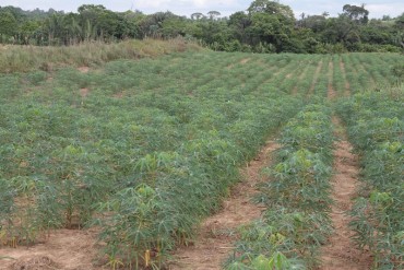 AGRICULTURA:Rondônia alcança 43% da meta do Cadastro Ambiental Rural a menos de seis meses do prazo final