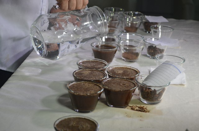 Cacoal: Cafeicultor  vence 3ª edição do concurso de qualidade do café