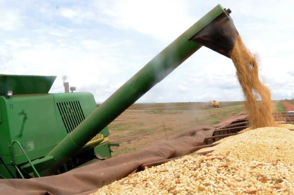 Brasil aumenta produtividade de grãos na safra 2018/2019 da Agência Brasil