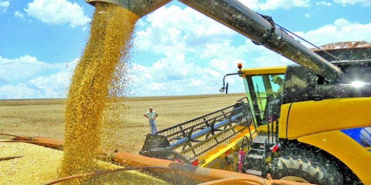Rondônia pode bater recorde da safra de grãos em 2 milhões de toneladas