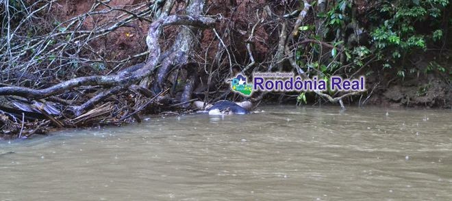 CUJUBIM URGENTE: Corpo de home é encontrado boiando em rio da rodovia entre Cujubim e Machadinho