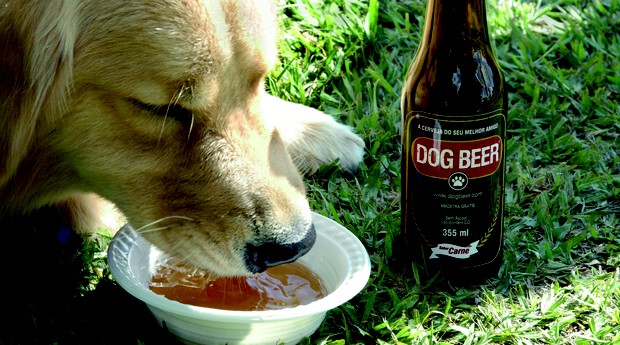 Empreendedor brasileiro cria primeira cervejaria especializada em pets