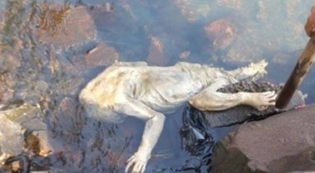 Criatura é encontrada em rio no Paraguai e intriga moradores