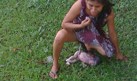 Mulher indígena dá a luz em jardim após ser expulsa de hospital por não falar corretamente o idioma, IMAGEM FORTE