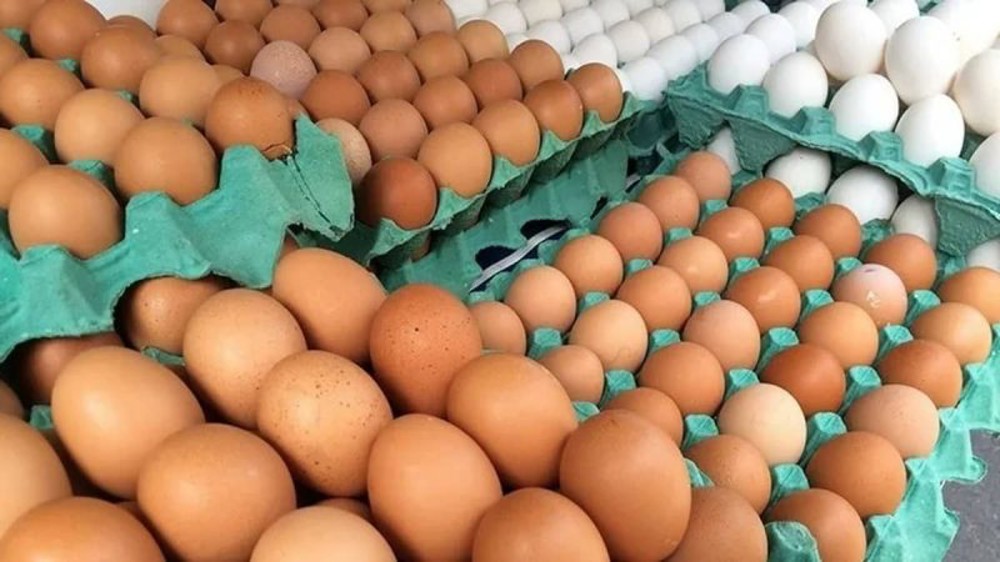Preço do ovo de galinha tem maior alta em uma década no Brasil